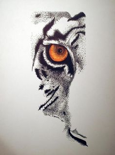 236x317 tiger scratch - Tiger Scratch Drawing