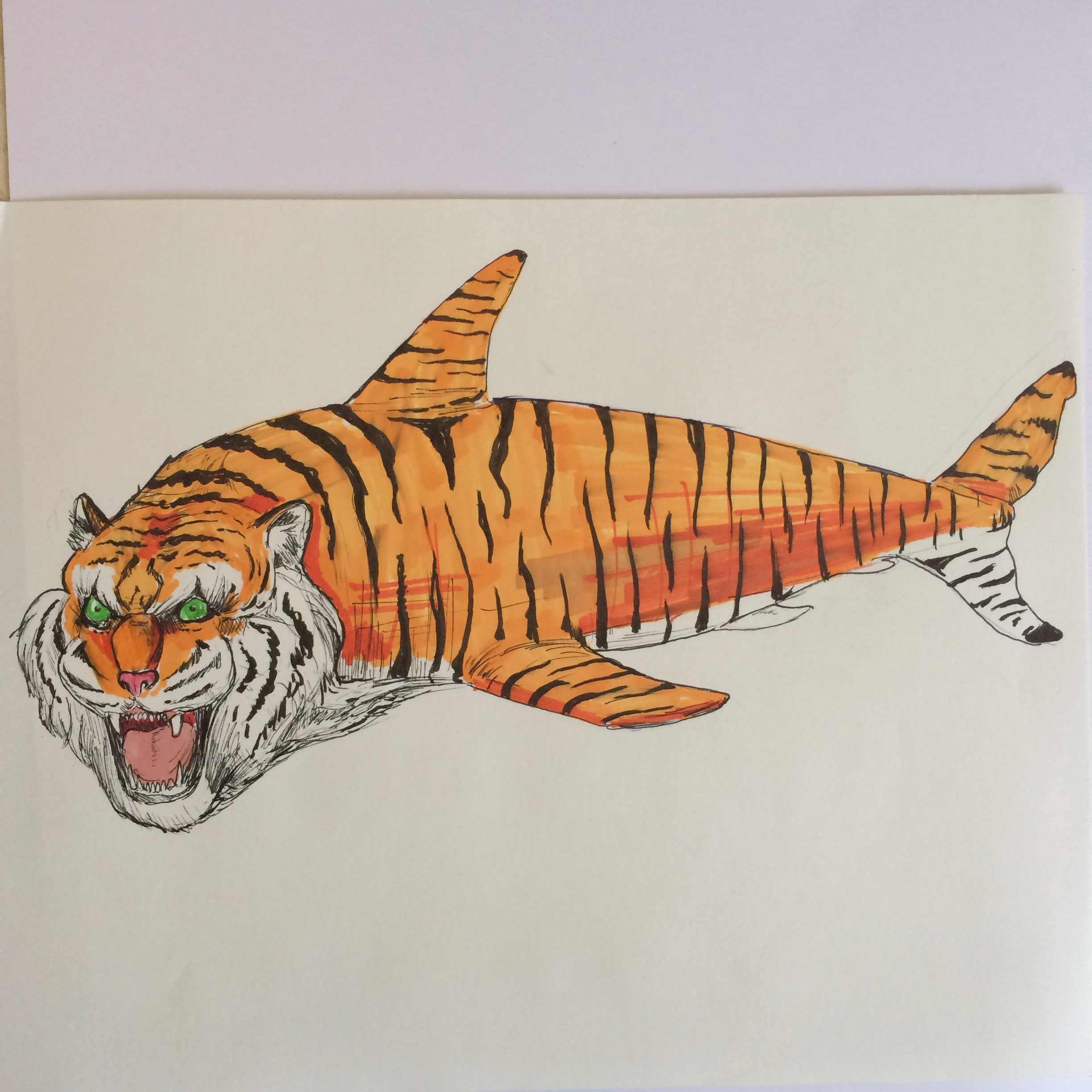 Tiger Shark Drawing at Explore collection of Tiger