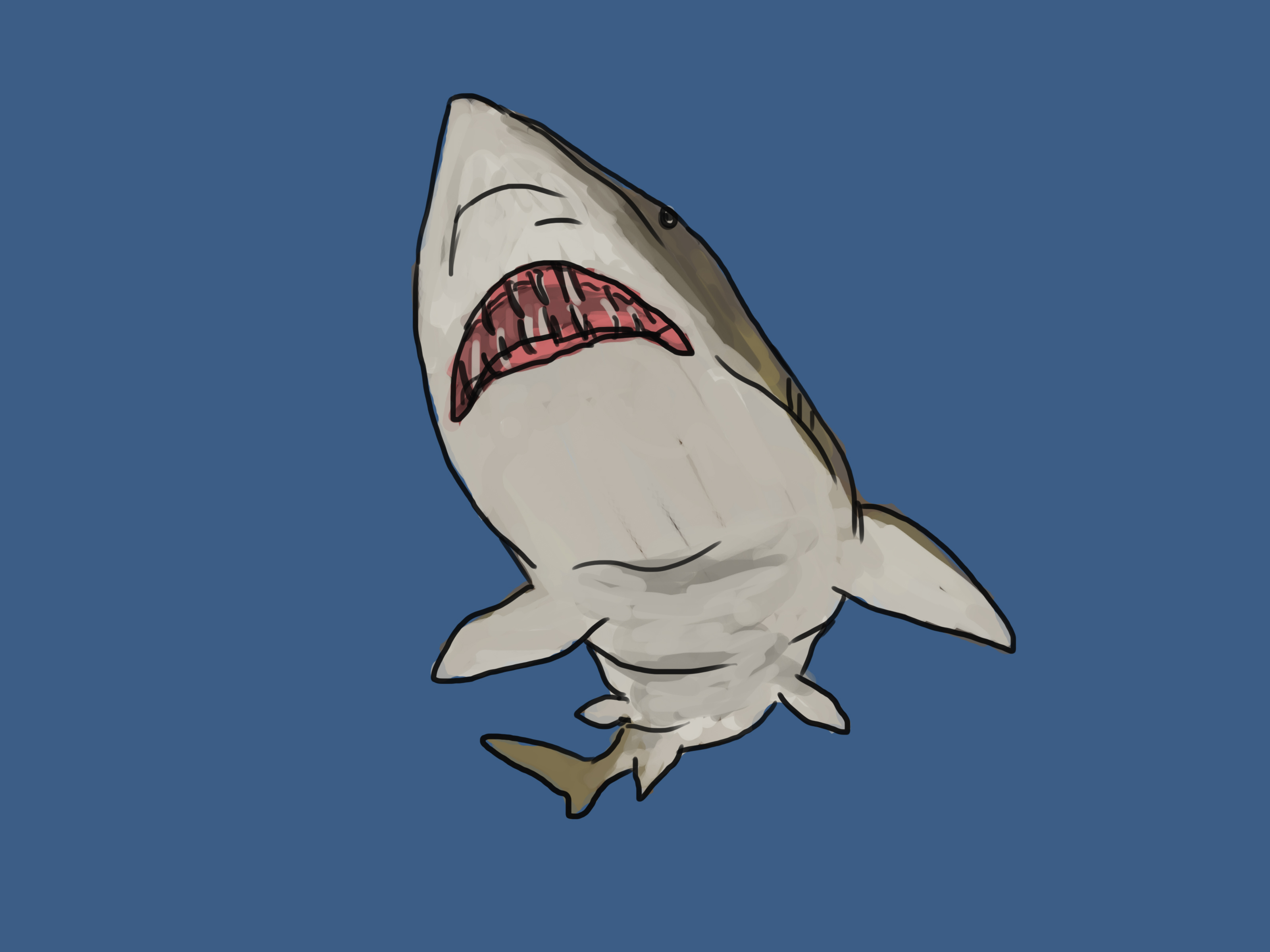 3200x2400 Ways To Draw A Shark - Tiger Shark Drawing