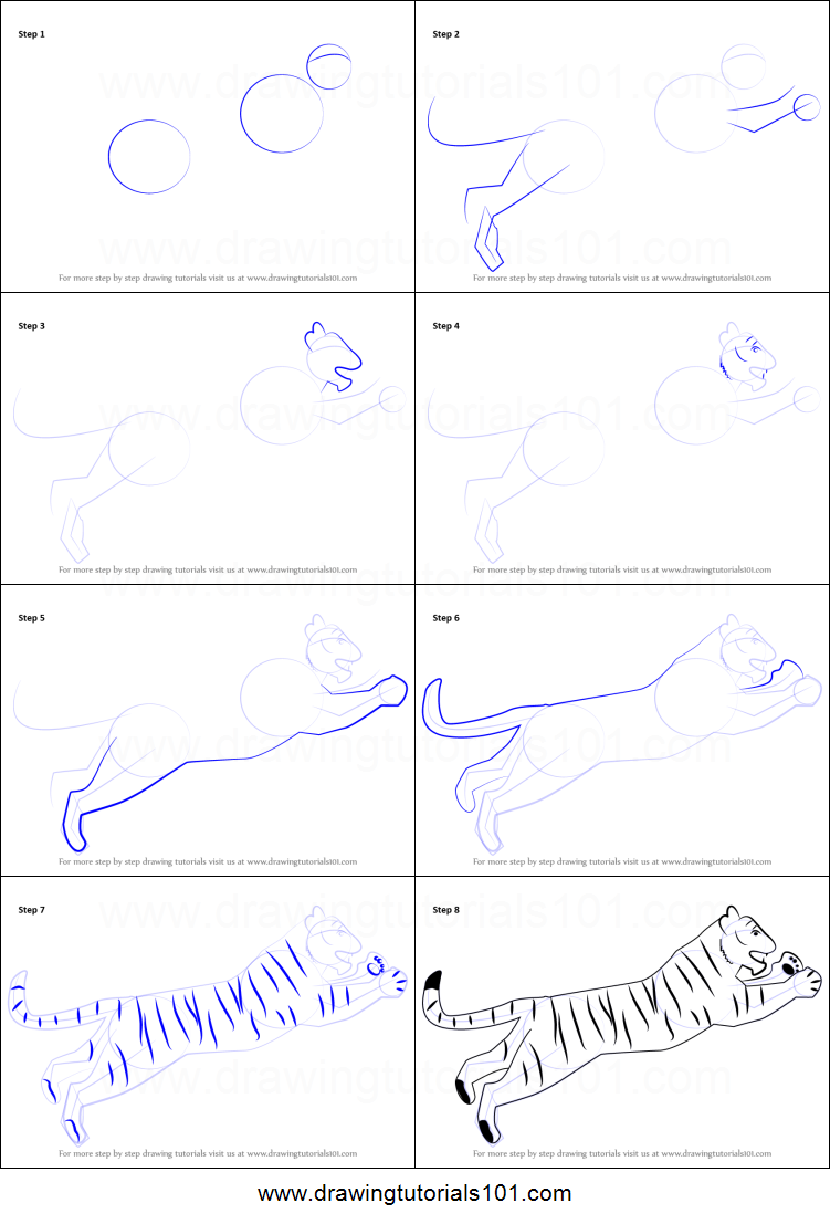 751x1107 How To Draw A Tiger For Kids Printable Step - Tiger Step By Step Drawing