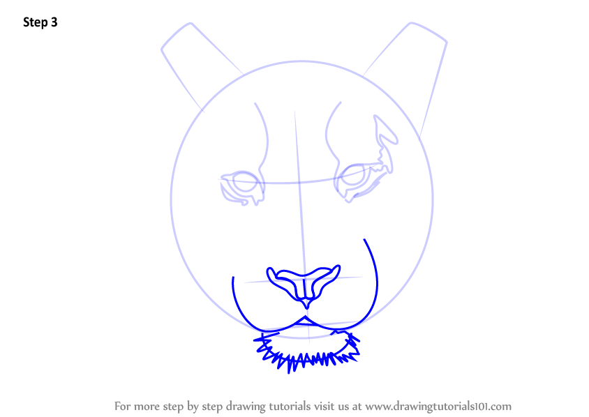 844x598 Learn How To Draw A Tiger Face - Tiger Step By Step Drawing