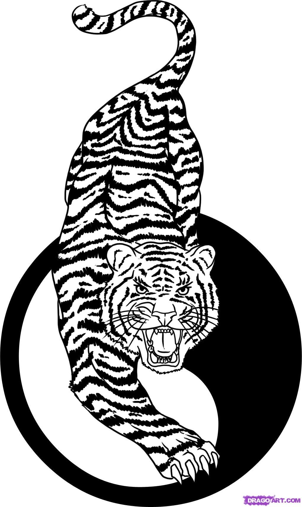 1020x1713 How To Draw A Tiger Tattoo, Step - Tiger Tattoo Drawing