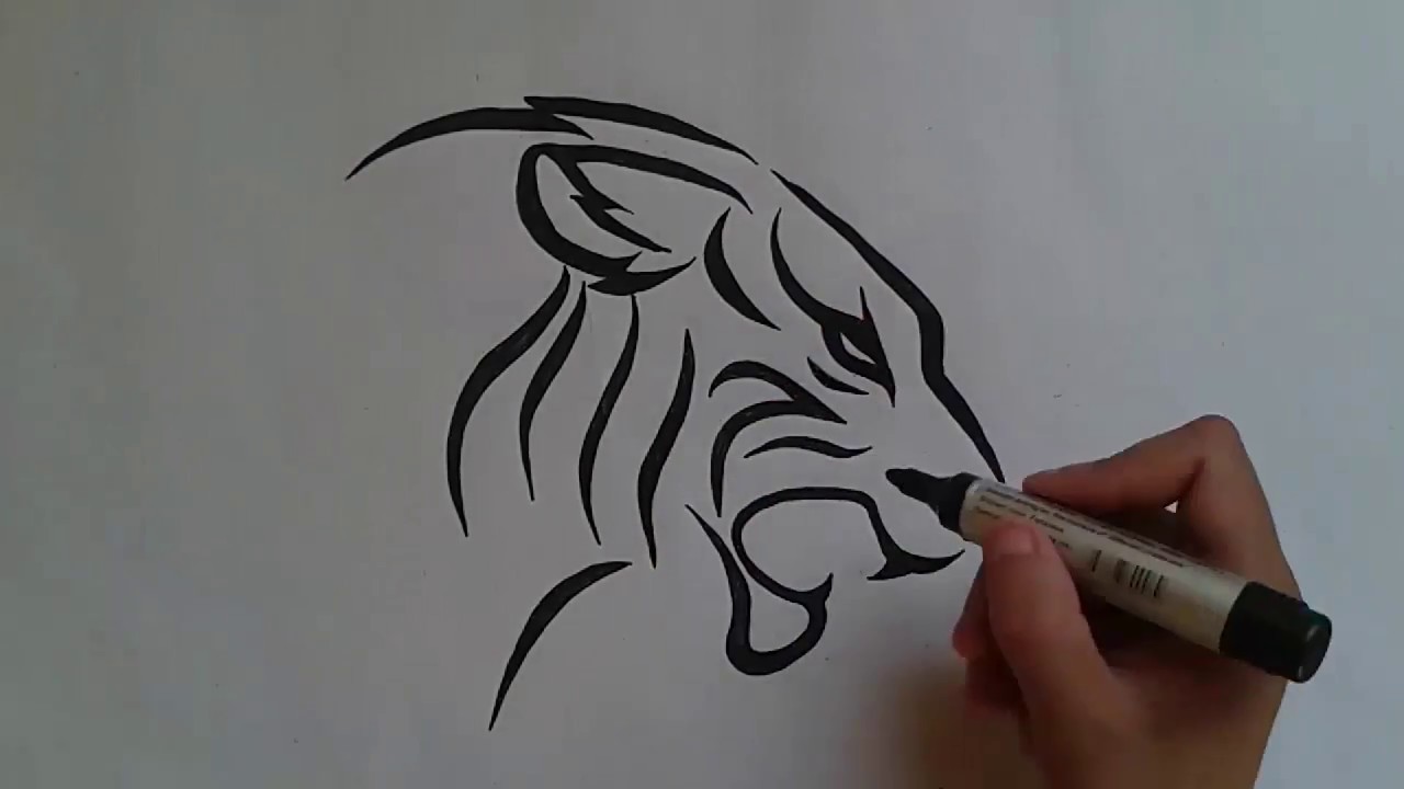 1280x720 How To Draw Tiger - Tiger Tattoo Drawing
