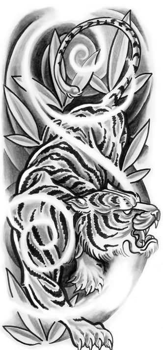 332x711 A Tattoo Tattoo - Tiger Tattoo Drawing
