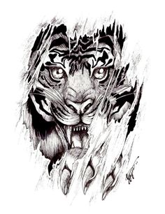 236x307 Best Tiger Tattoo Drawings Images Design Tattoos, Tattoo - Tiger Tattoo Drawing