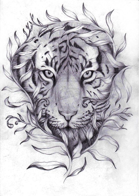 564x797 Tiger Tattoo Designs - Tiger Tattoo Drawing