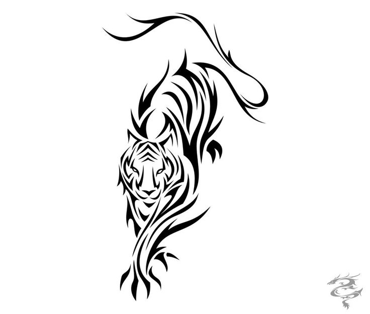 736x625 Best Tribal Tiger Tattoos Designs - Tiger Tattoo Drawing