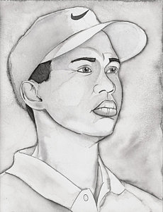 230x300 tiger woods drawings fine art america - Tiger Woods Drawing