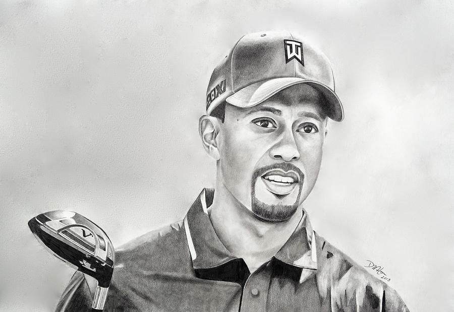 900x619 tiger woods drive drawing - Tiger Woods Drawing
