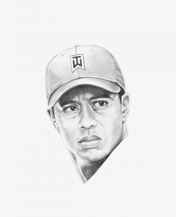 Tiger Woods Drawing at Explore collection of Tiger