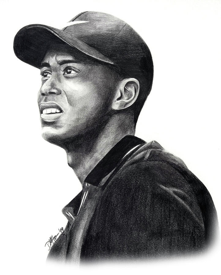 722x900 tiger woods profile drawing - Tiger Woods Drawing