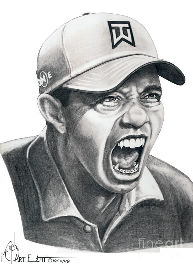 649x900 tiger woods roaring tiger drawing - Tiger Woods Drawing