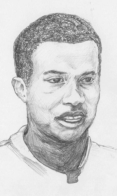 376x628 tiger woods biography - Tiger Woods Drawing