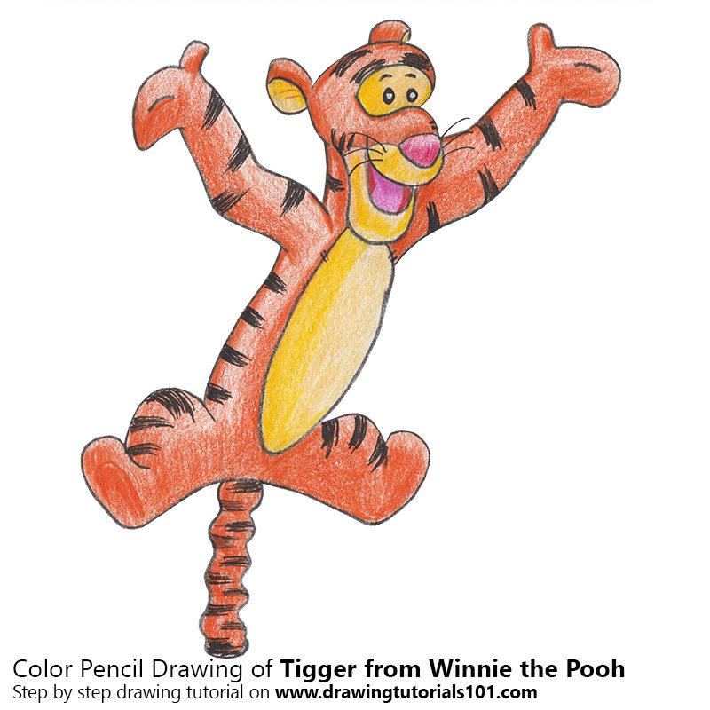 800x800 Tigger From Winnie The Pooh Colored Pencils - Tigger Drawing