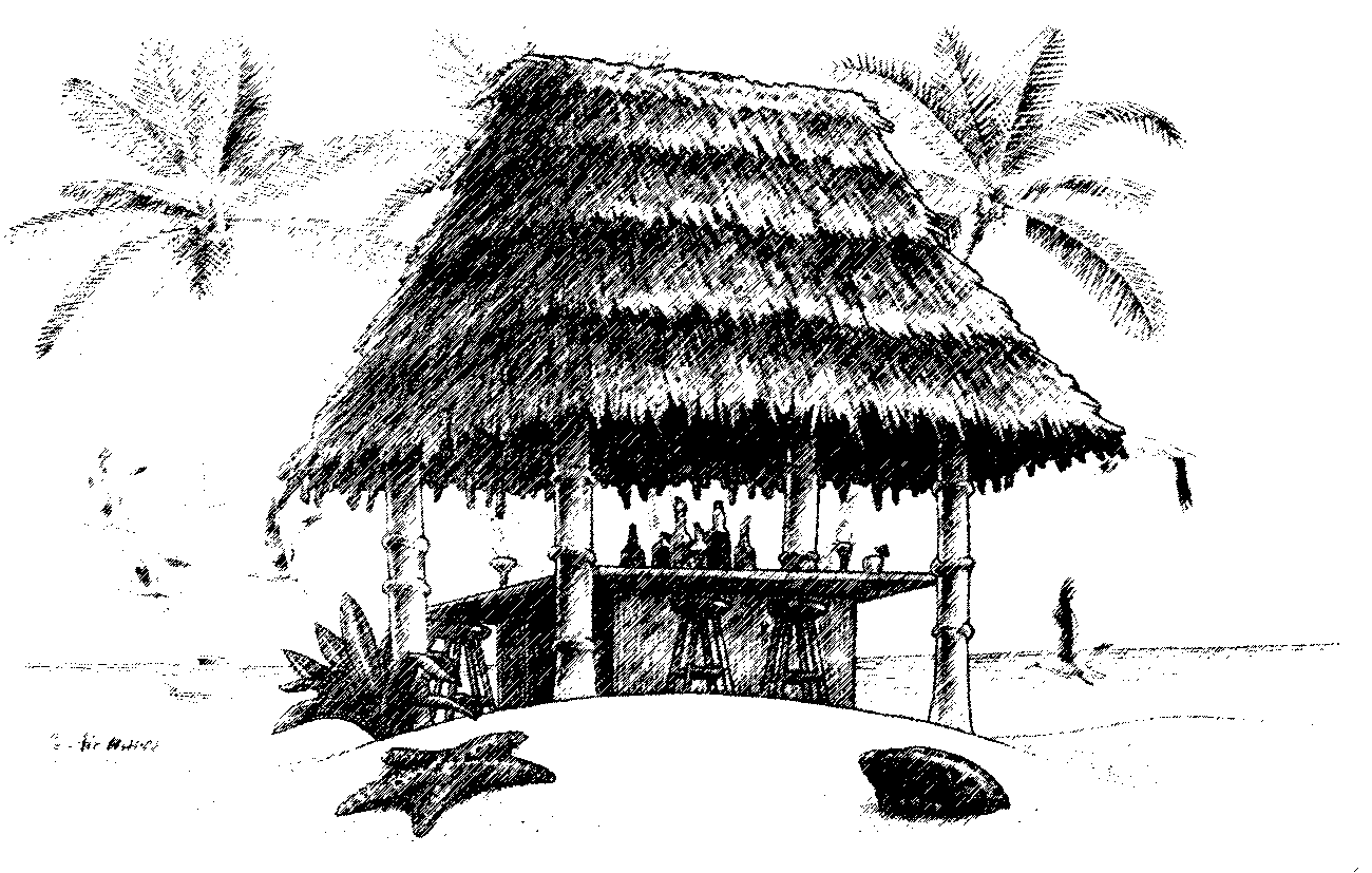 Tiki Hut Drawing At PaintingValley.com | Explore Collection Of Tiki Hut ...