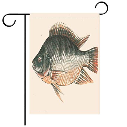 425x425 beicici double sided premium garden flag drawing - Tilapia Drawing