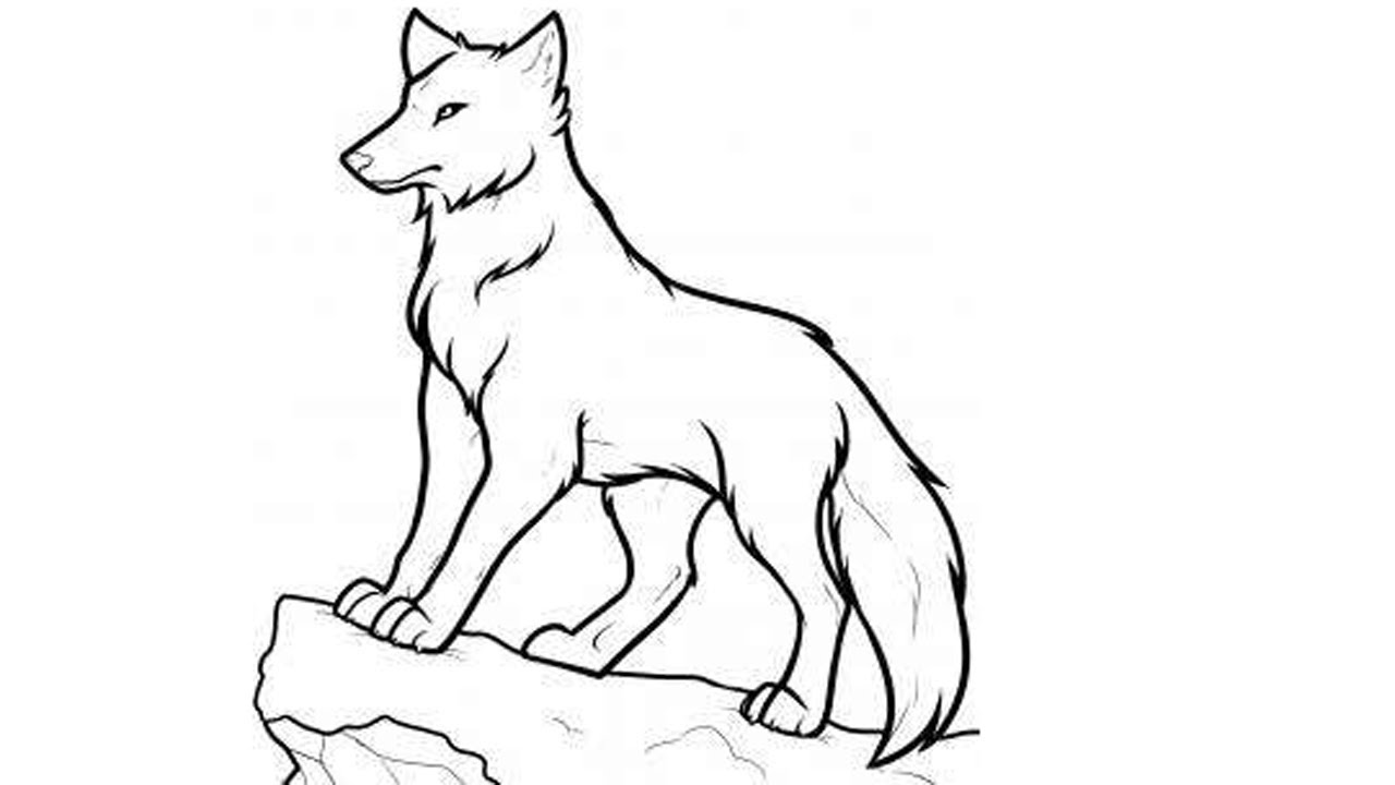 1280x720 how to draw a wolf step - Timber Wolf Drawing