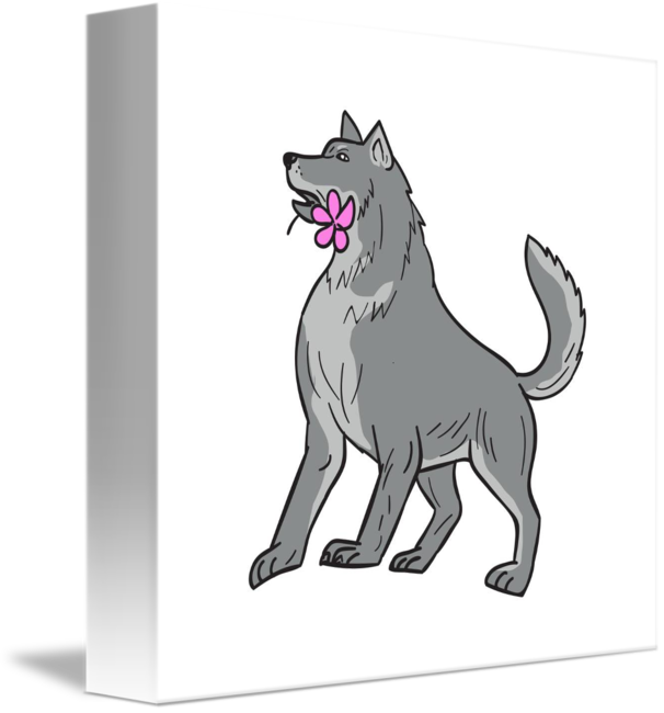606x650 timber wolf holding plumeria flower drawing - Timber Wolf Drawing