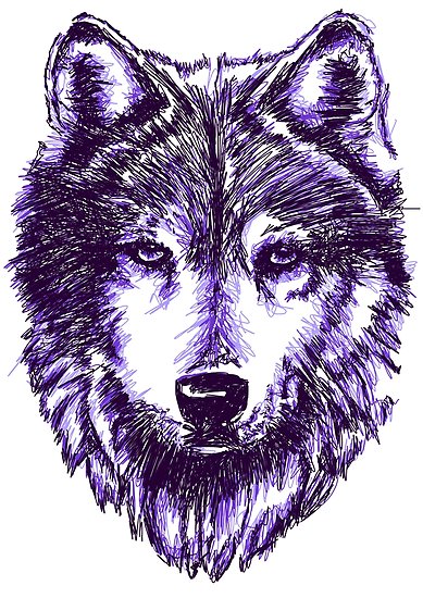 389x550 timber wolf purple posters - Timber Wolf Drawing