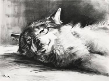 375x280 waking timber wolf drawing - Timber Wolf Drawing