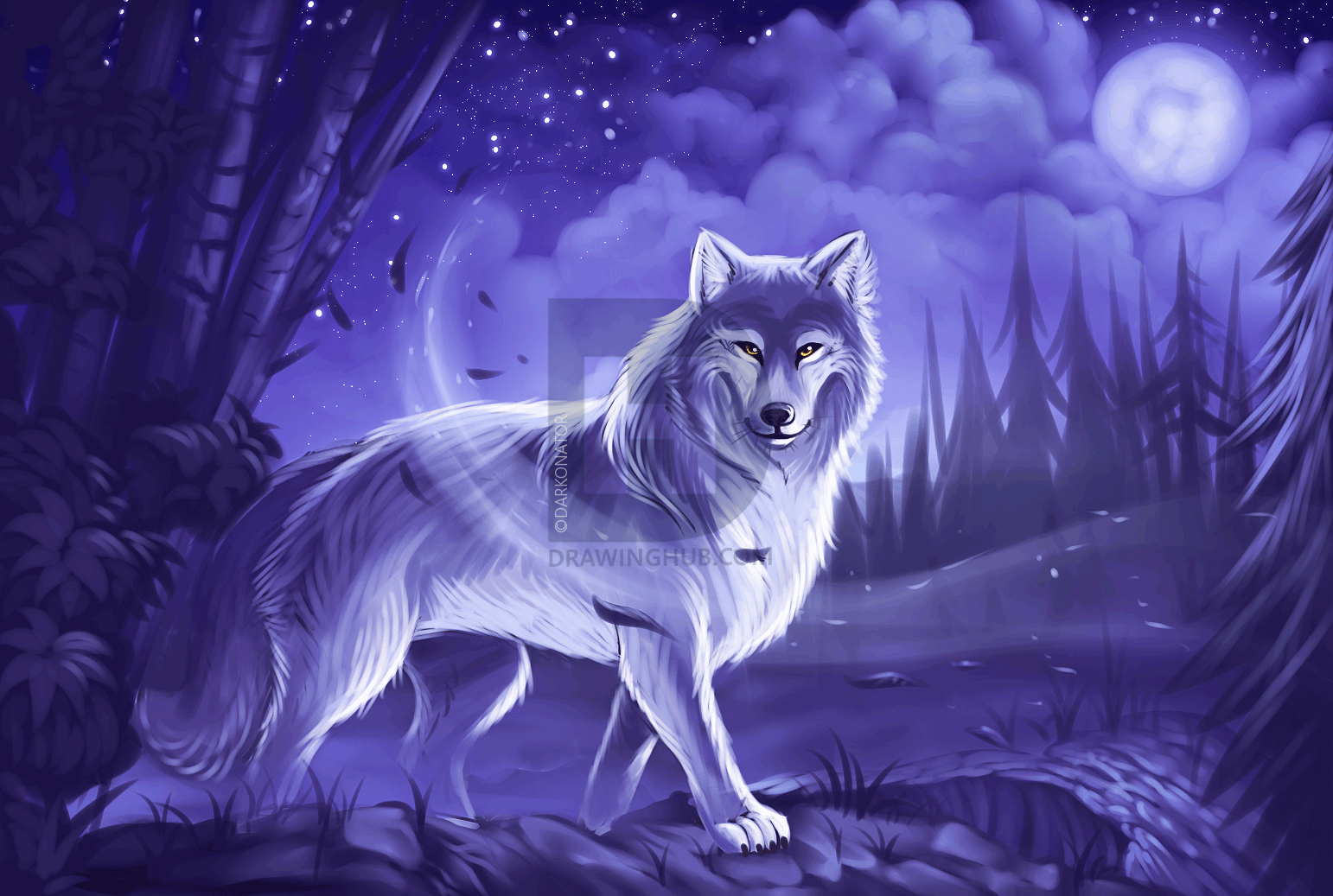 1542x1037 how to draw a gray wolf, timber wolf, step - Timber Wolf Drawing