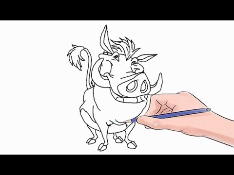 480x360 How To Draw Pumbaa Easy Step - Timon And Pumbaa Drawing