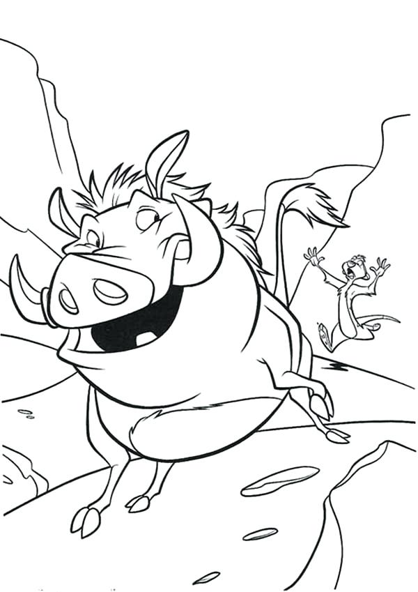 600x849 Handsome Coloring Pages Timon And Pumbaa Betterfor - Timon And Pumbaa Drawing