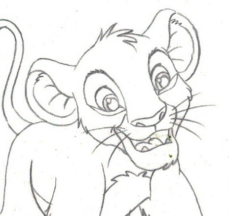 Timon Drawing at PaintingValley.com | Explore collection of Timon Drawing