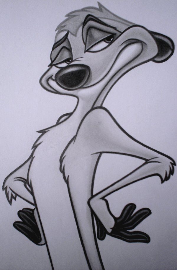 600x914 Timon - Timon Drawing