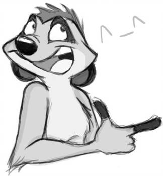 324x350 Timon - Timon Drawing