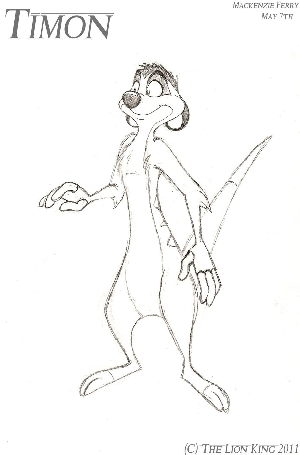 1024x1552 Timon Sketch - Timon Drawing