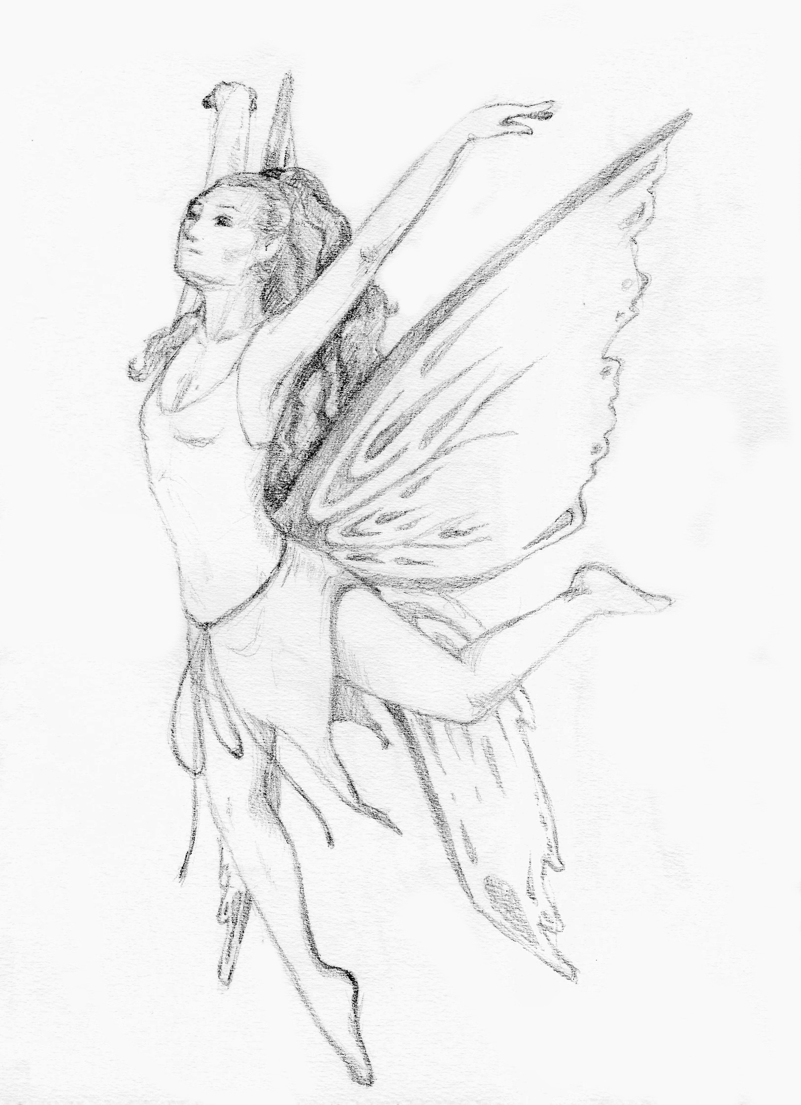 1626x2242 Artist Drawing Pencil Set Beautiful Tinkerbell Pencil Drawing - Tinkerbell Pencil Drawing