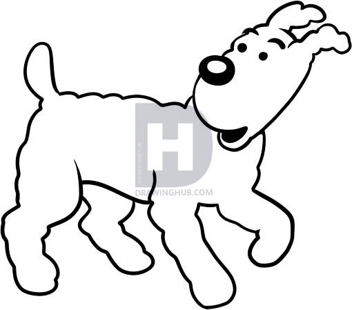 510x449 How To Draw Snowy, Step - Tintin Drawing