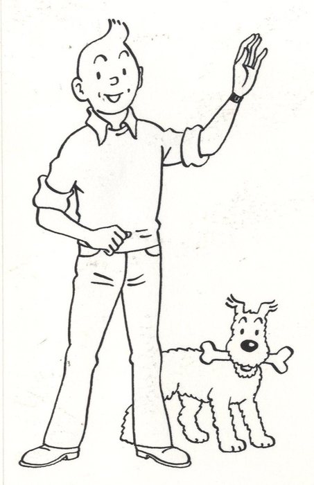 453x700 Studio - Tintin Drawing