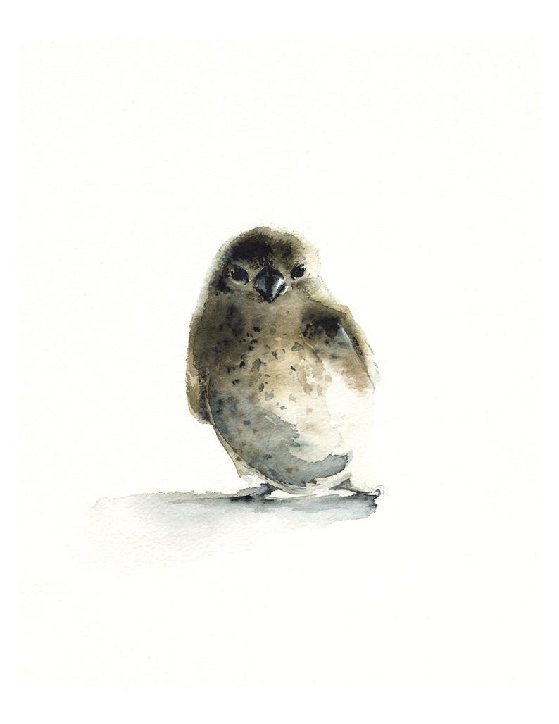 794x1028 bird painting bird watercolor watercolor print bird tiny etsy - Tiny Bird Drawing
