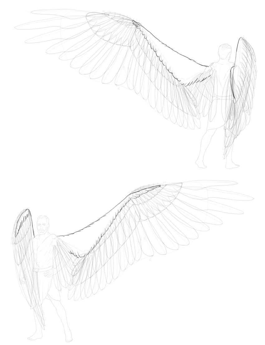 850x1106 How To Draw Angel Wings - Tiny Bird Drawing
