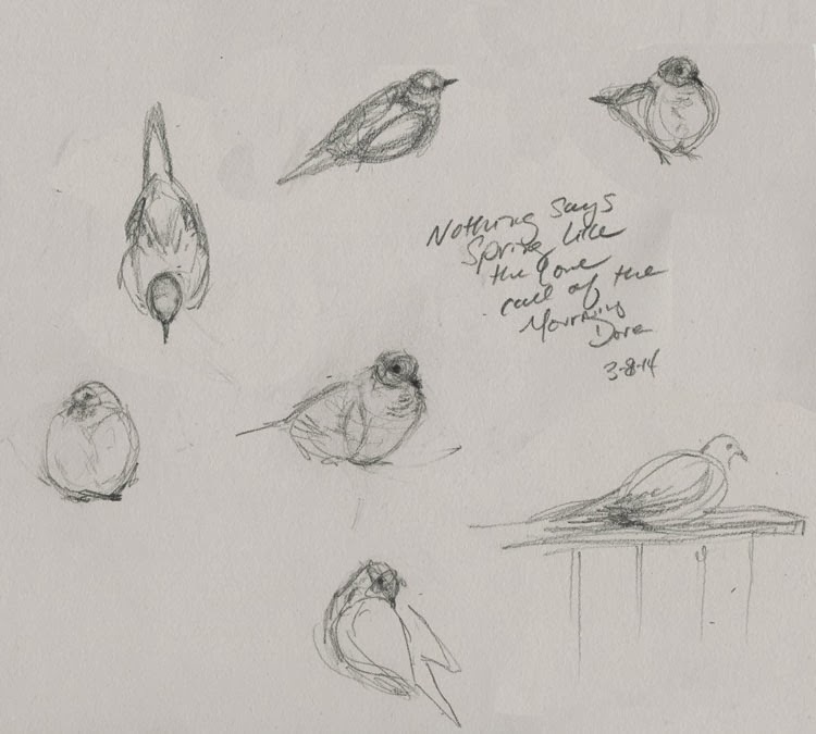 750x675 Red And The Peanut Two Second Bird Sketches - Tiny Bird Drawing