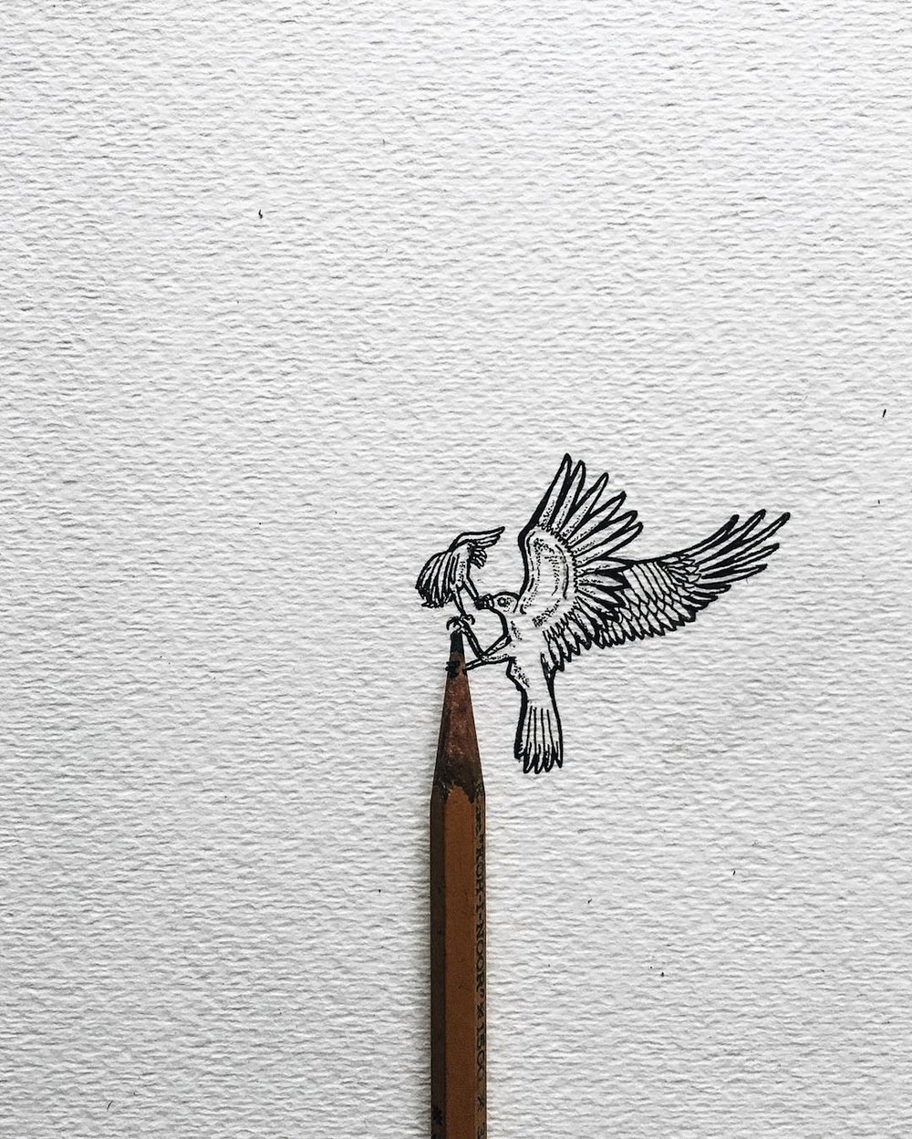 1000x1249 tiny ink drawings scaled to the size of pencils, fingers - Tiny Bird Drawing