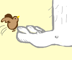 300x250 tiny bird leaps into white disfisgured foot - Tiny Bird Drawing