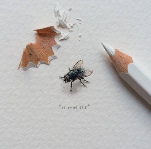 609x600 tiny drawings that are impressive and adorable - Tiny Drawings