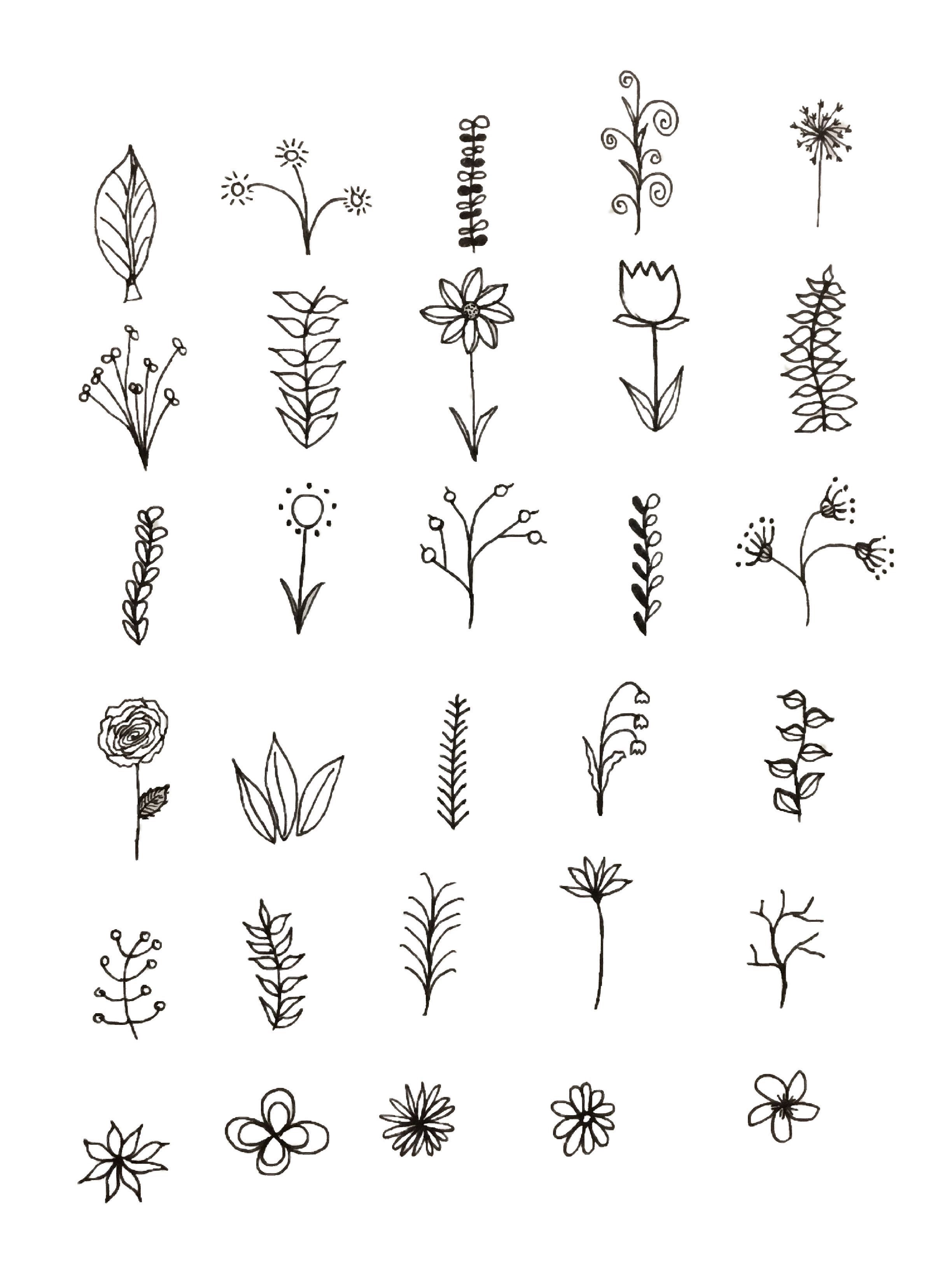 2448x3264 succulents drawing tiny for free download - Tiny Drawings