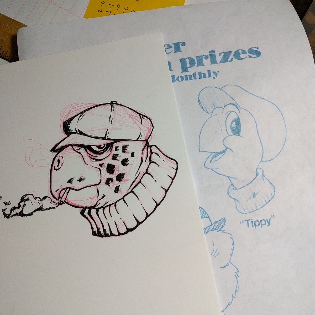 Tippy The Turtle Drawing Test at Explore