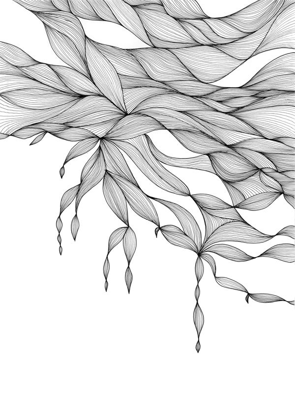 600x848 Image Result For Drawing Of Muscle Tissue Design Abilities - Tissue Drawing