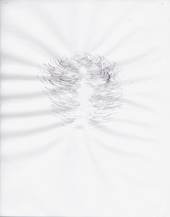 338x432 Pfoac - Tissue Drawing