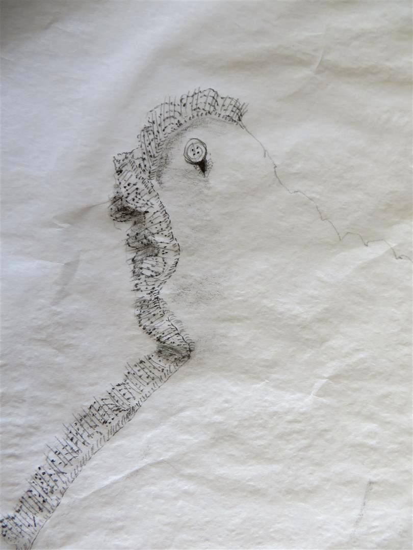 810x1080 Drawings On Tissue - Tissue Drawing