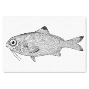 307x307 Drawing Craft Tissue Paper Zazzle - Tissue Paper Drawing