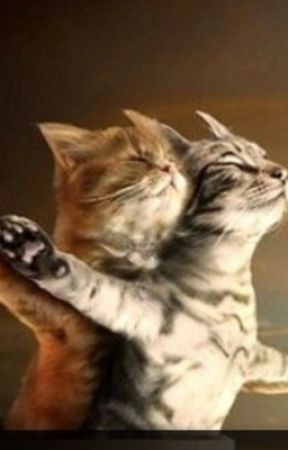 288x450 Titanic - Titanic Rose Drawing