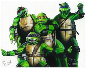 300x235 tmnt drawings fine art america - Tmnt Drawings
