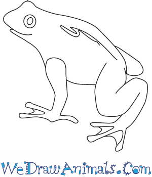 300x350 how to draw a golden toad - Toad Drawing