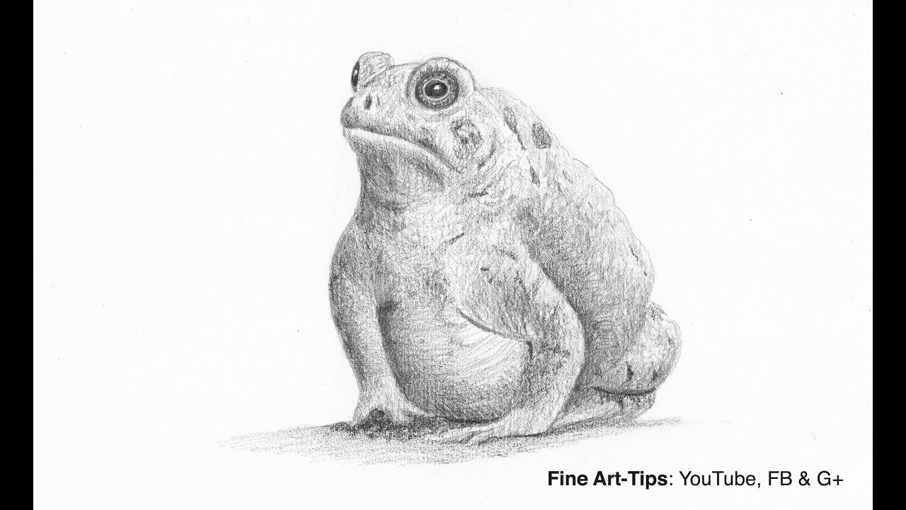 1280x720 how to draw a toad - Toad Drawing